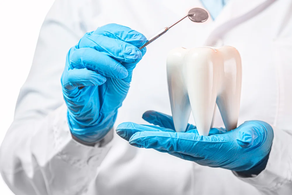 Dr. Taylor Cole Ball DDS